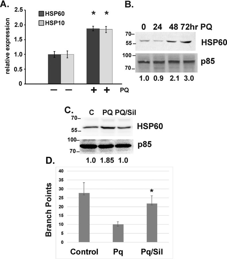 https://cdn.ncbi.nlm.nih.gov/pmc/blobs/cda0/7939459/df3009643414/gr4.jpg