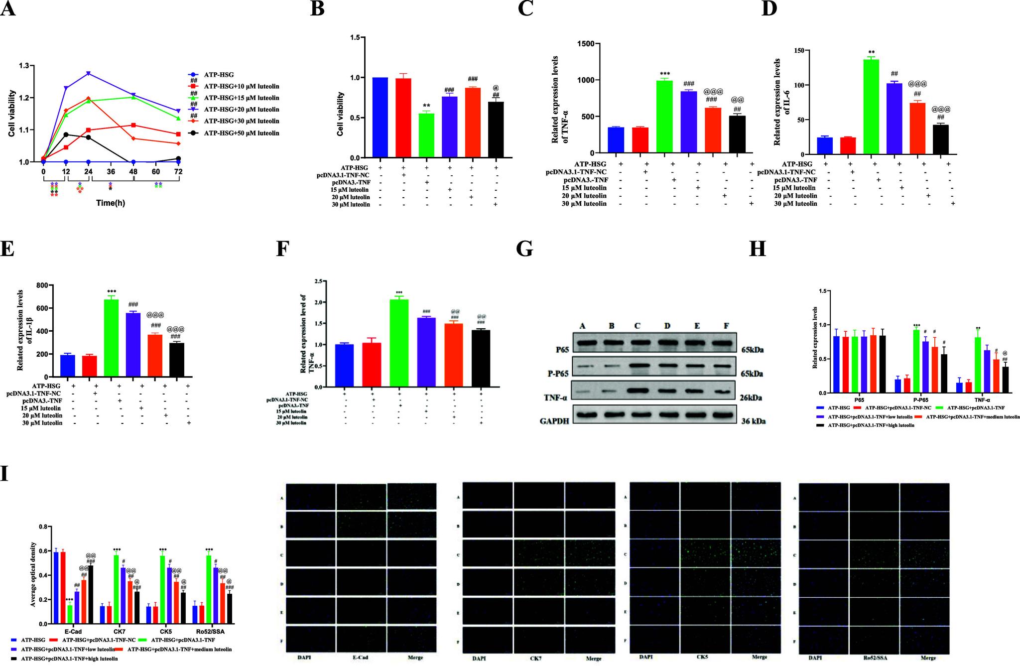 https://cdn.ncbi.nlm.nih.gov/pmc/blobs/cda3/12044447/8feb60478337/ao4c10653_0007.jpg
