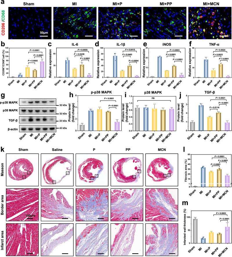https://cdn.ncbi.nlm.nih.gov/pmc/blobs/cda4/11300711/7015d5137532/41467_2024_50854_Fig5_HTML.jpg