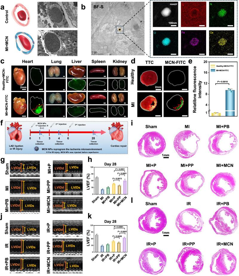 https://cdn.ncbi.nlm.nih.gov/pmc/blobs/cda4/11300711/7c530e23150c/41467_2024_50854_Fig2_HTML.jpg