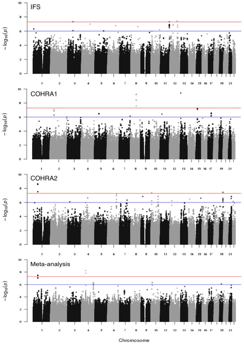 https://cdn.ncbi.nlm.nih.gov/pmc/blobs/cda5/10048401/b6666ba3fa29/genes-14-00736-g002.jpg