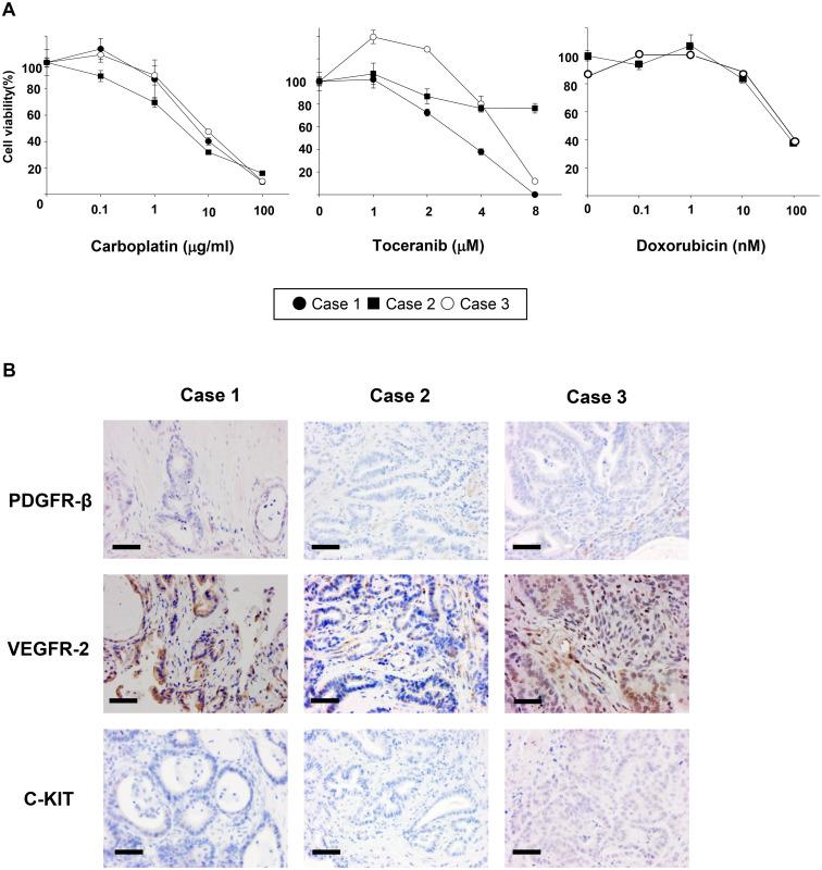 https://cdn.ncbi.nlm.nih.gov/pmc/blobs/cda5/12246603/57f2c32935ef/jvms-87-7-752-g004.jpg