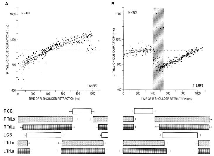https://cdn.ncbi.nlm.nih.gov/pmc/blobs/cda6/5727018/d9a5886b5f2a/fncir-11-00098-g0001.jpg