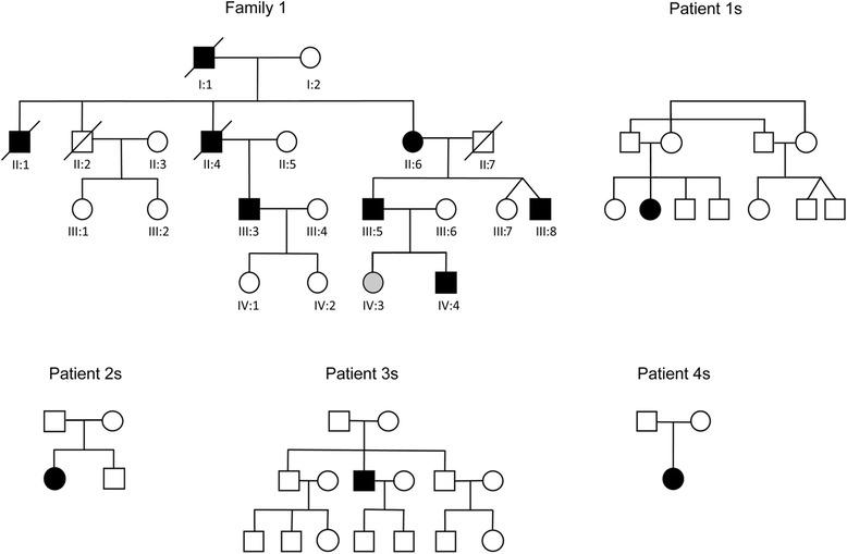 https://cdn.ncbi.nlm.nih.gov/pmc/blobs/cda7/4513909/05f89ff88428/40478_2015_224_Fig1_HTML.jpg