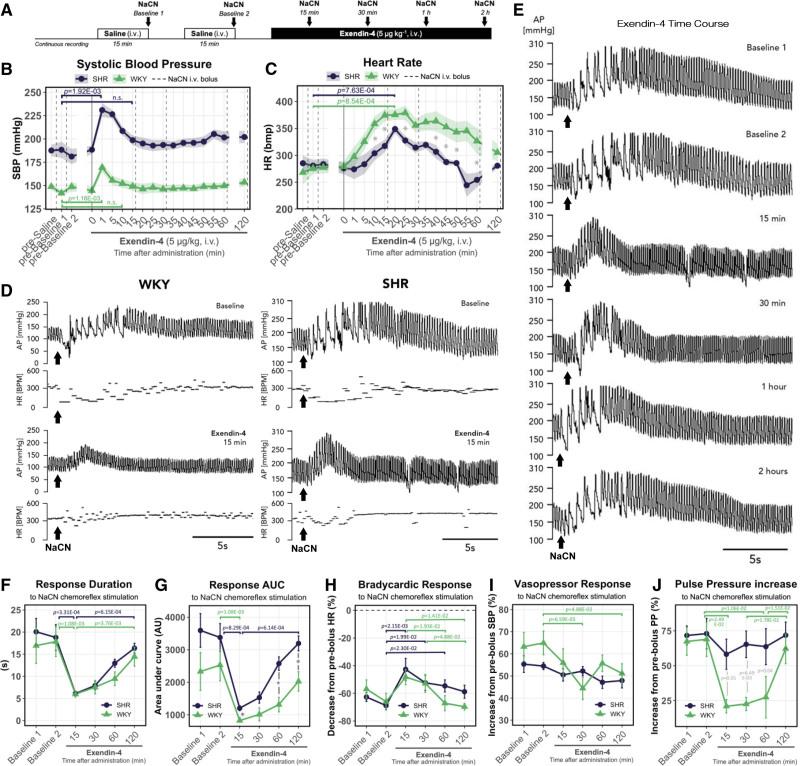 https://cdn.ncbi.nlm.nih.gov/pmc/blobs/cdad/8893134/05912c39a19d/res-130-694-g004.jpg