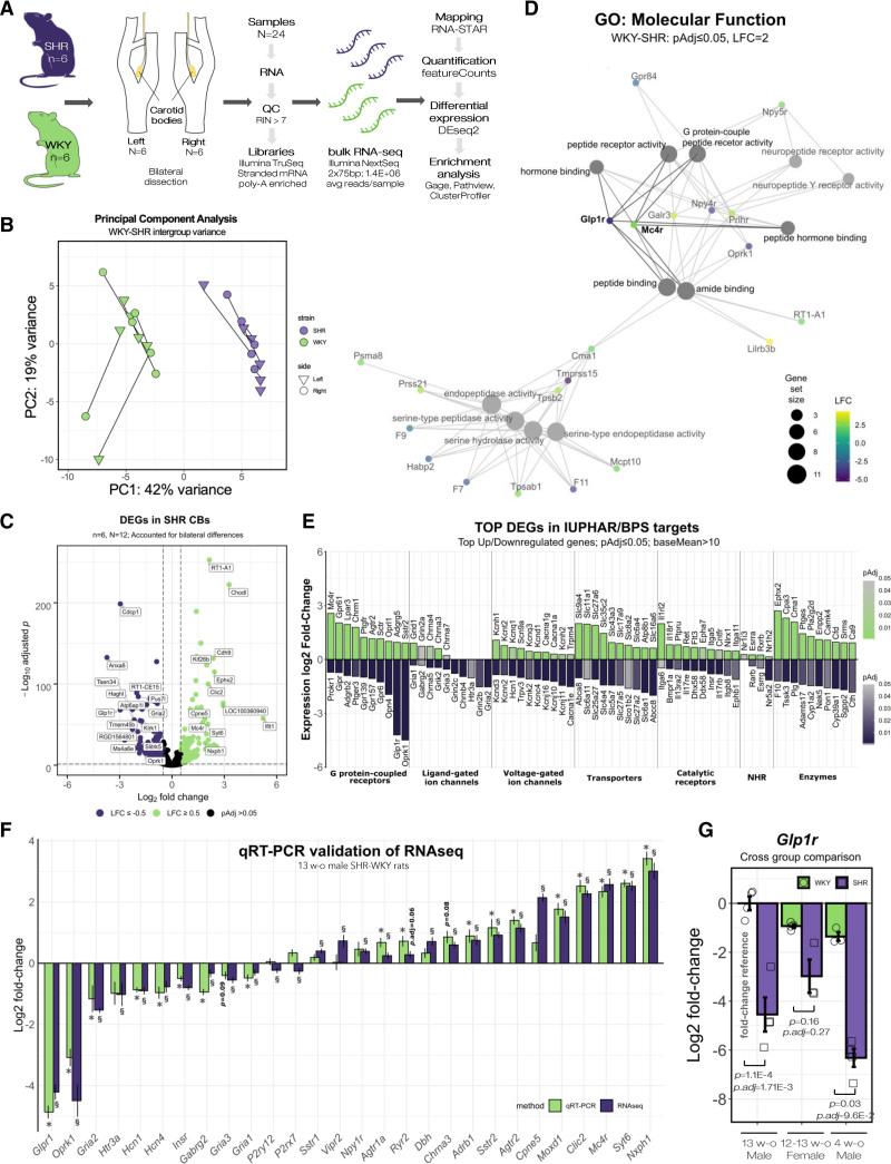 https://cdn.ncbi.nlm.nih.gov/pmc/blobs/cdad/8893134/95c0a95e7827/res-130-694-g001.jpg