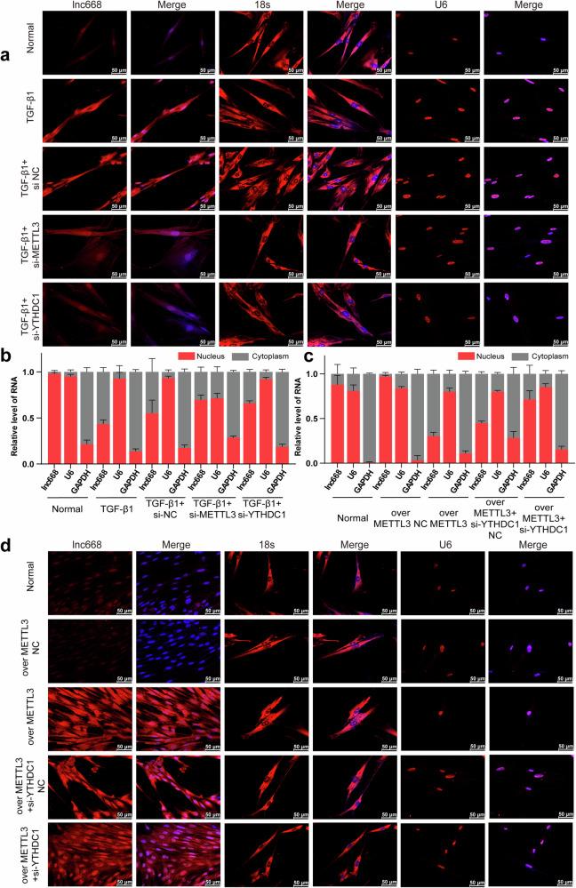https://cdn.ncbi.nlm.nih.gov/pmc/blobs/cdae/11993731/d9524d83bbe9/41419_2025_7608_Fig3_HTML.jpg