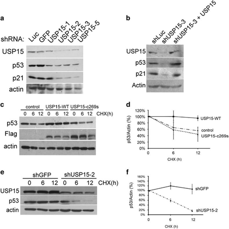https://cdn.ncbi.nlm.nih.gov/pmc/blobs/cdae/5442427/4353ce910a6d/onc2016424f2.jpg