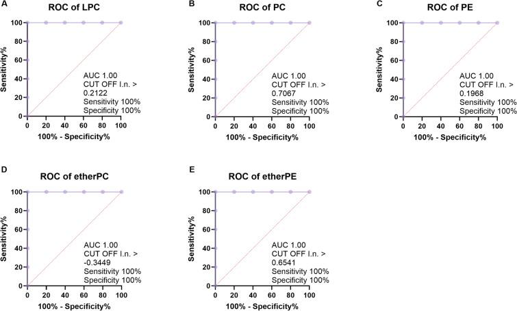 https://cdn.ncbi.nlm.nih.gov/pmc/blobs/cdaf/12101001/e884c7959a1a/13023_2025_3782_Fig3_HTML.jpg
