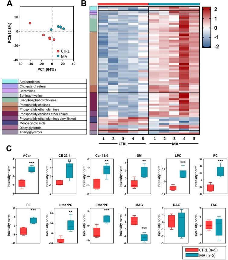 https://cdn.ncbi.nlm.nih.gov/pmc/blobs/cdaf/12101001/f42636bbafc6/13023_2025_3782_Fig2_HTML.jpg