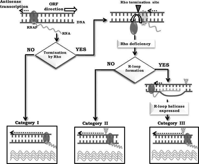 https://cdn.ncbi.nlm.nih.gov/pmc/blobs/cdaf/5909445/1f30cf2a07b4/gky118fig7.jpg