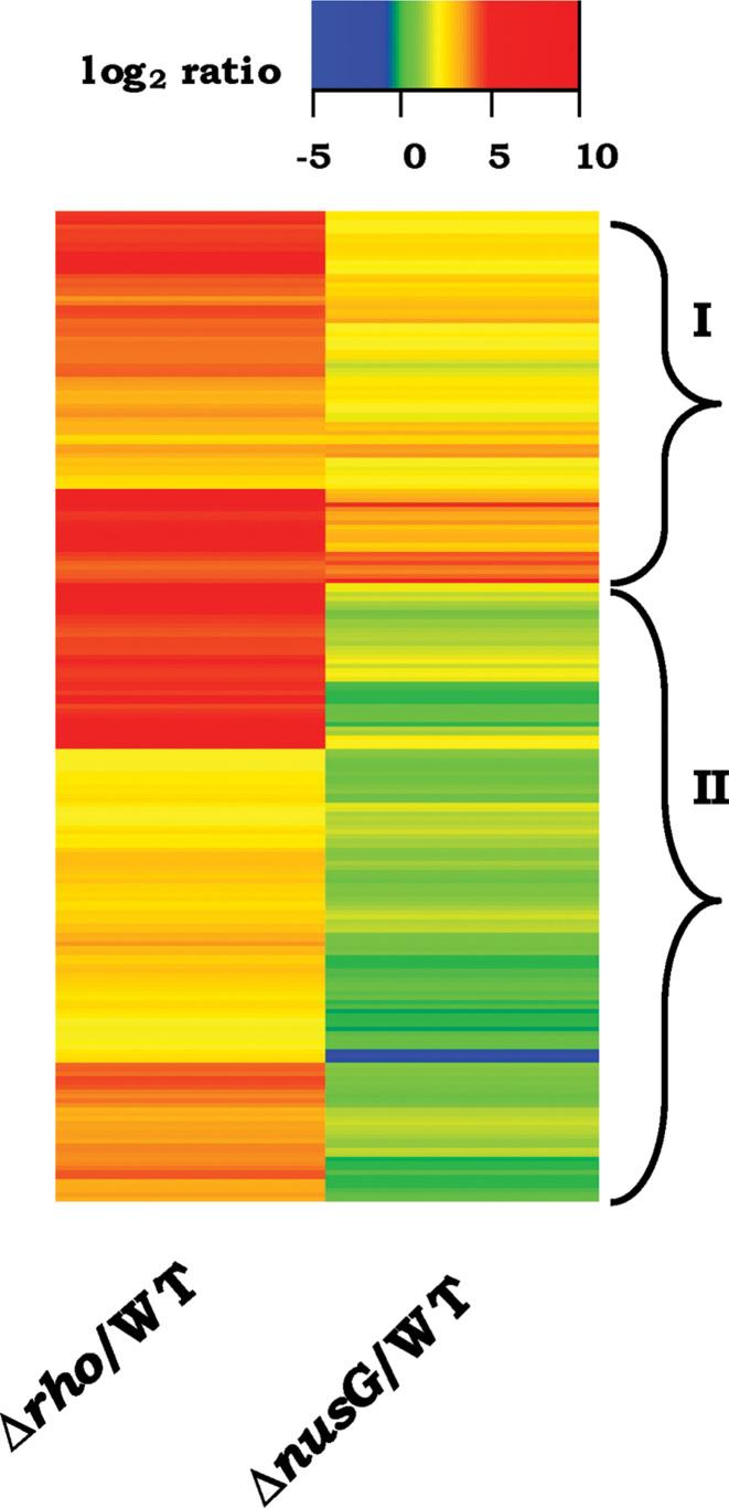 https://cdn.ncbi.nlm.nih.gov/pmc/blobs/cdaf/5909445/44766ee2ac03/gky118fig5.jpg