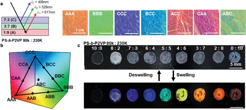 https://cdn.ncbi.nlm.nih.gov/pmc/blobs/cdb2/9828630/d3e31d68b080/TSTA_A_2156256_F0002_OC.jpg