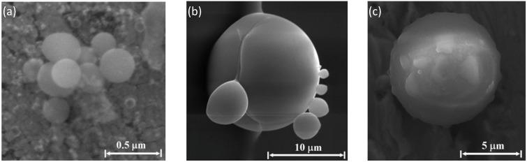 https://cdn.ncbi.nlm.nih.gov/pmc/blobs/cdb4/5452649/1a999076ccc9/materials-06-04011-g011.jpg