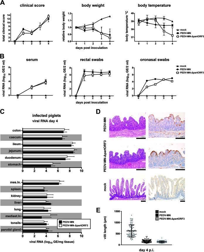 https://cdn.ncbi.nlm.nih.gov/pmc/blobs/cdb7/10373562/81574588c8f5/jvi.01964-22-f006.jpg