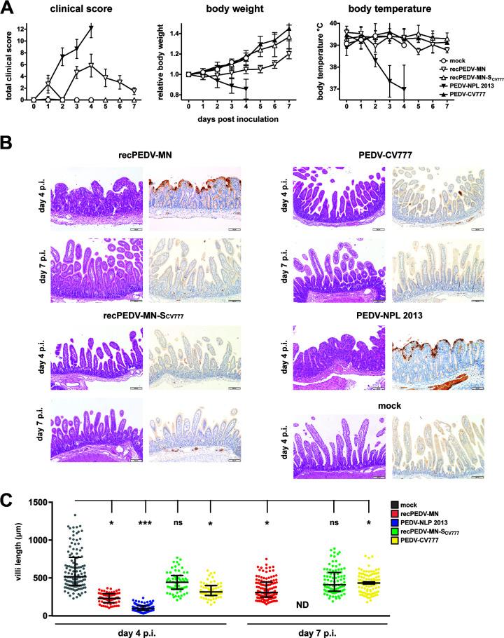 https://cdn.ncbi.nlm.nih.gov/pmc/blobs/cdb7/10373562/cbccbeed6654/jvi.01964-22-f004.jpg