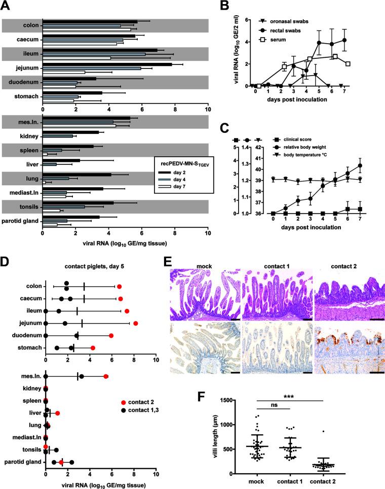https://cdn.ncbi.nlm.nih.gov/pmc/blobs/cdb7/10373562/dc3371bc6606/jvi.01964-22-f008.jpg