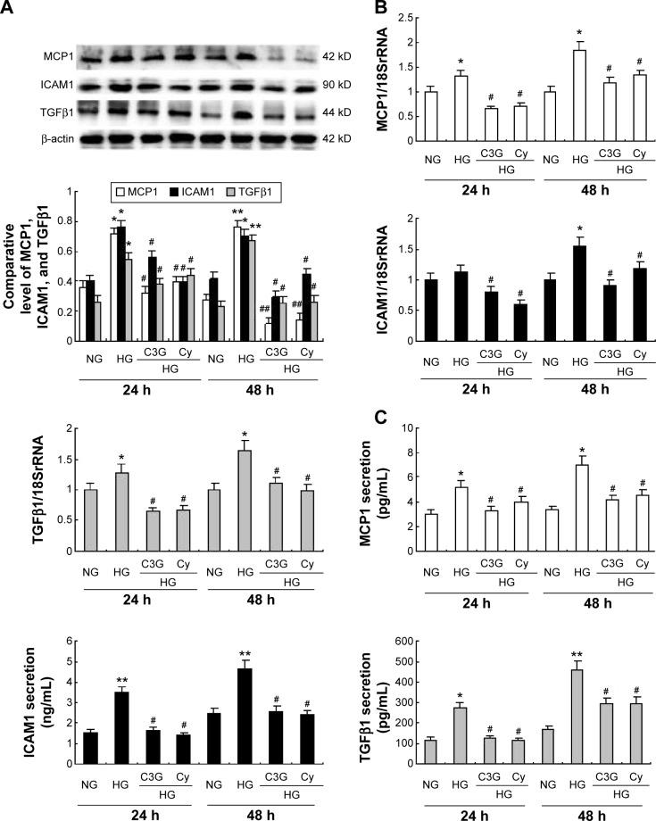https://cdn.ncbi.nlm.nih.gov/pmc/blobs/cdb8/4567235/14909f1e66f6/dddt-9-5099Fig7.jpg