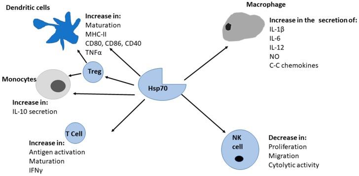 https://cdn.ncbi.nlm.nih.gov/pmc/blobs/cdb9/6278532/140cf664d227/molecules-23-02846-g003.jpg