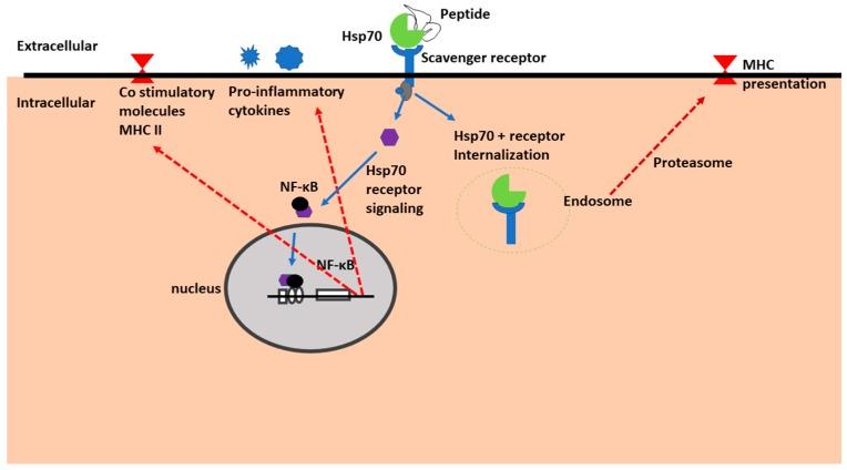 https://cdn.ncbi.nlm.nih.gov/pmc/blobs/cdb9/6278532/334e96c0d18c/molecules-23-02846-g004.jpg