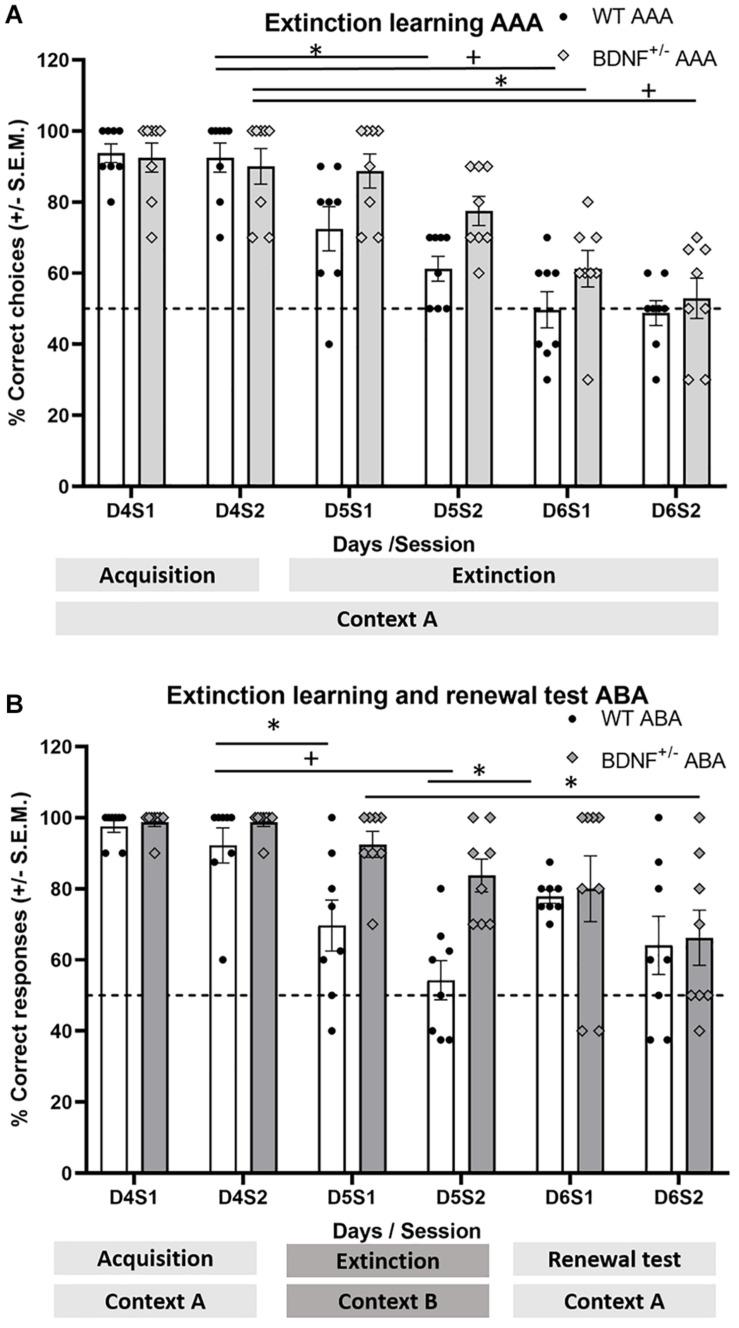https://cdn.ncbi.nlm.nih.gov/pmc/blobs/cdbb/8119774/fe8204950652/fnbeh-15-658686-g003.jpg