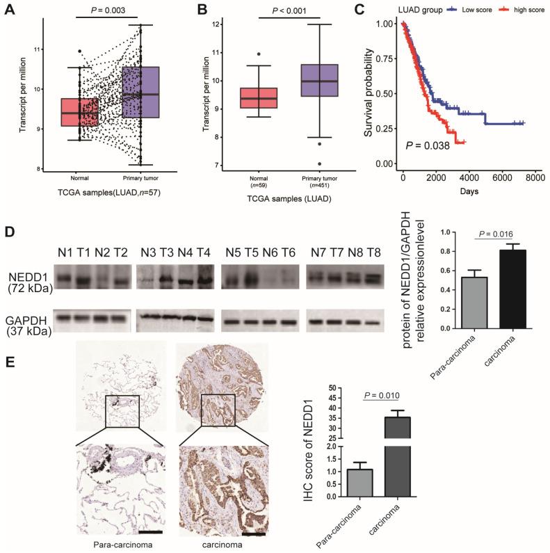 https://cdn.ncbi.nlm.nih.gov/pmc/blobs/cdc0/11375547/900c4d1efef3/jcav15p5149g001.jpg