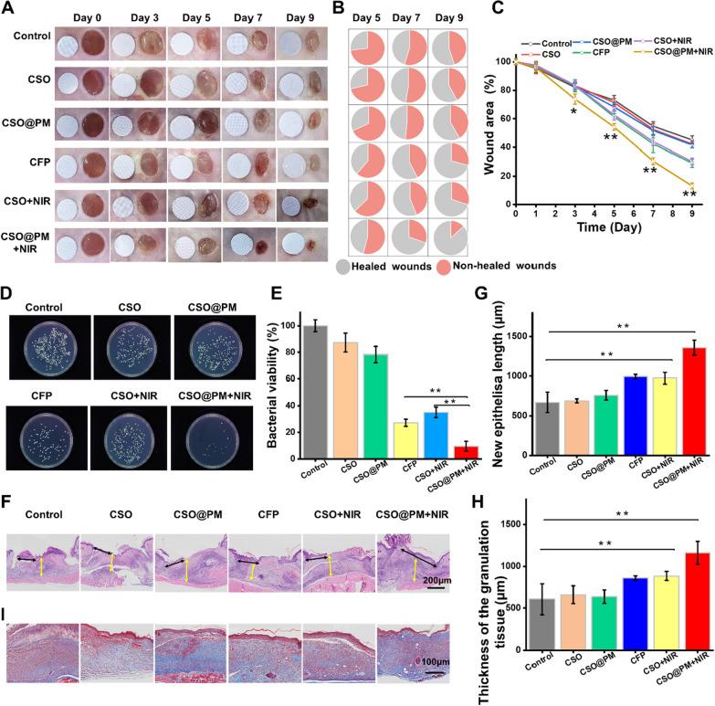https://cdn.ncbi.nlm.nih.gov/pmc/blobs/cdc0/8607565/5d6b3c5f8ce7/12951_2021_1130_Fig5_HTML.jpg