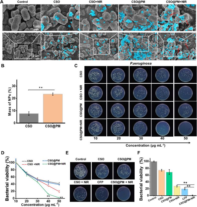 https://cdn.ncbi.nlm.nih.gov/pmc/blobs/cdc0/8607565/91897a0aa93b/12951_2021_1130_Fig3_HTML.jpg