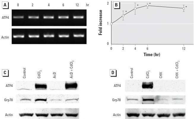 https://cdn.ncbi.nlm.nih.gov/pmc/blobs/cdc1/1480533/85743c3acf97/ehp0114-000859f4.jpg