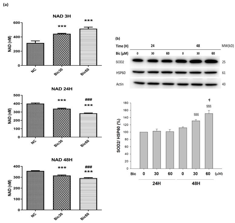 https://cdn.ncbi.nlm.nih.gov/pmc/blobs/cdc1/8745250/0354c4f03a8b/jcm-11-00135-g006.jpg