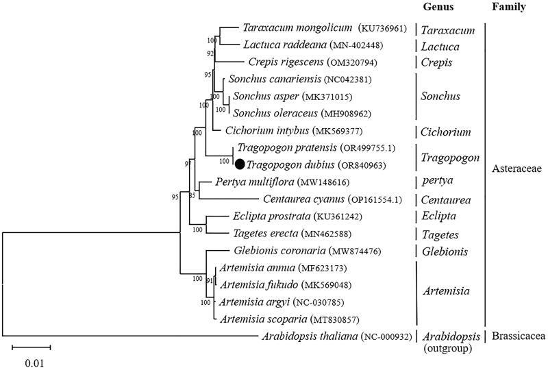 https://cdn.ncbi.nlm.nih.gov/pmc/blobs/cdc3/10939102/13dbb5338050/TMDN_A_2329668_F0003_B.jpg
