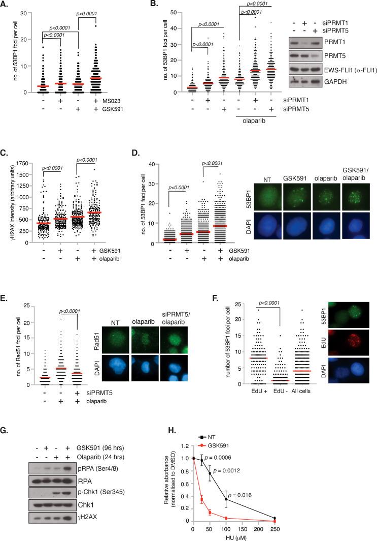 https://cdn.ncbi.nlm.nih.gov/pmc/blobs/cdc4/12354397/6fbfd5f9a551/fonc-15-1538208-g005.jpg