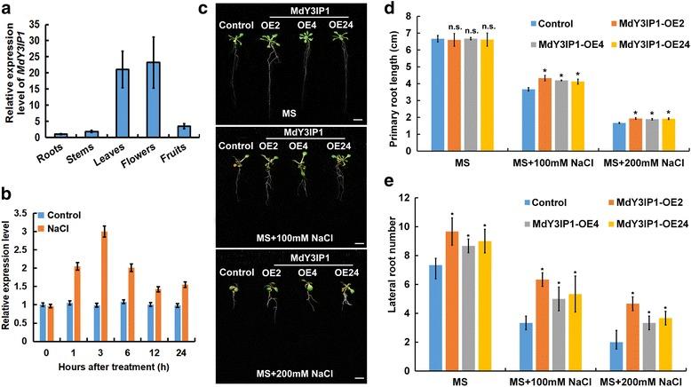 https://cdn.ncbi.nlm.nih.gov/pmc/blobs/cdc4/5775602/5546296743ab/12870_2018_1232_Fig3_HTML.jpg