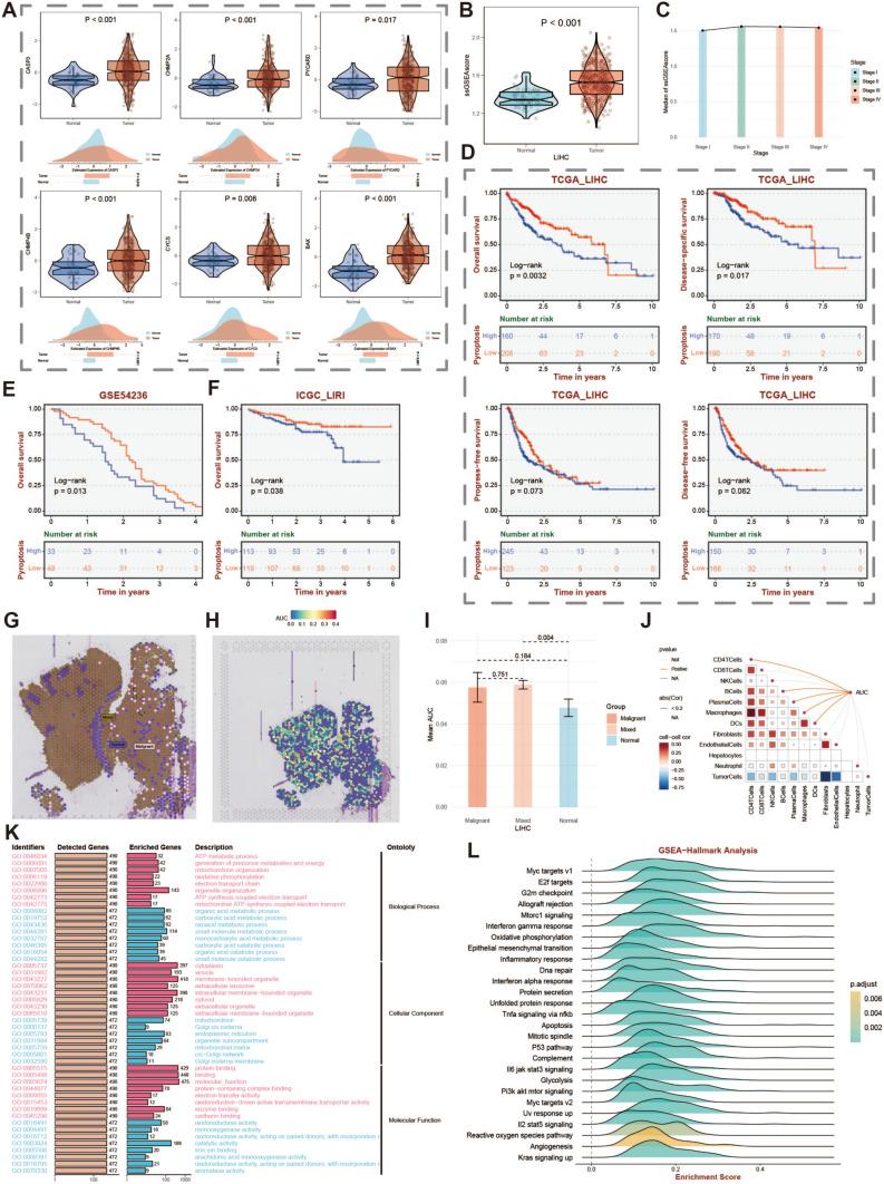 https://cdn.ncbi.nlm.nih.gov/pmc/blobs/cdc6/12092324/935c89d14b0c/12672_2025_2421_Fig6_HTML.jpg