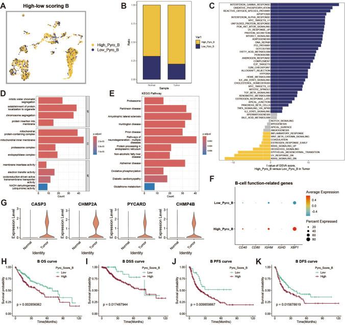 https://cdn.ncbi.nlm.nih.gov/pmc/blobs/cdc6/12092324/c925e4cea25d/12672_2025_2421_Fig3_HTML.jpg