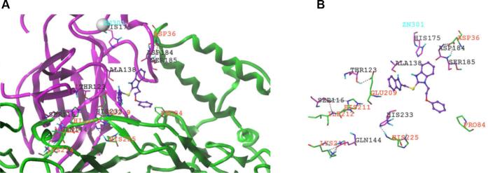 https://cdn.ncbi.nlm.nih.gov/pmc/blobs/cdc7/7948449/07bb707d66cb/gr1.jpg