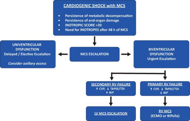 https://cdn.ncbi.nlm.nih.gov/pmc/blobs/cdc7/8005884/151bd2f70756/suab007f1.jpg