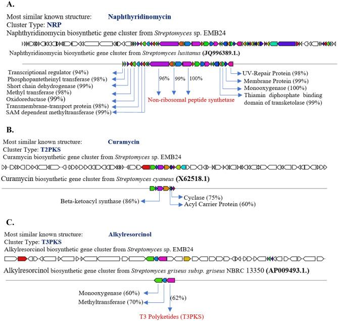 https://cdn.ncbi.nlm.nih.gov/pmc/blobs/cdc7/9553293/631a164a7f52/10126_2022_10168_Fig1_HTML.jpg
