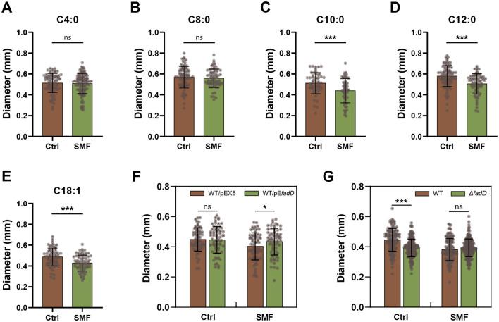 https://cdn.ncbi.nlm.nih.gov/pmc/blobs/cdc8/12238033/3199405b6c13/fmicb-16-1586233-g0001.jpg