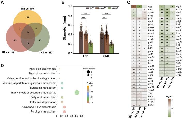 https://cdn.ncbi.nlm.nih.gov/pmc/blobs/cdc8/12238033/4735a4c060f3/fmicb-16-1586233-g0004.jpg