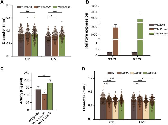 https://cdn.ncbi.nlm.nih.gov/pmc/blobs/cdc8/12238033/4d121390edda/fmicb-16-1586233-g0005.jpg