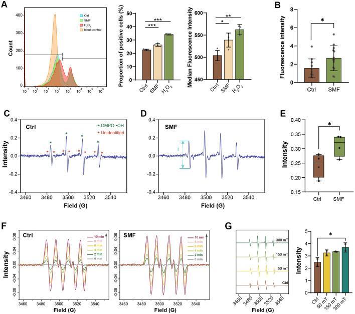 https://cdn.ncbi.nlm.nih.gov/pmc/blobs/cdc8/12238033/e3f7b979bdc3/fmicb-16-1586233-g0002.jpg