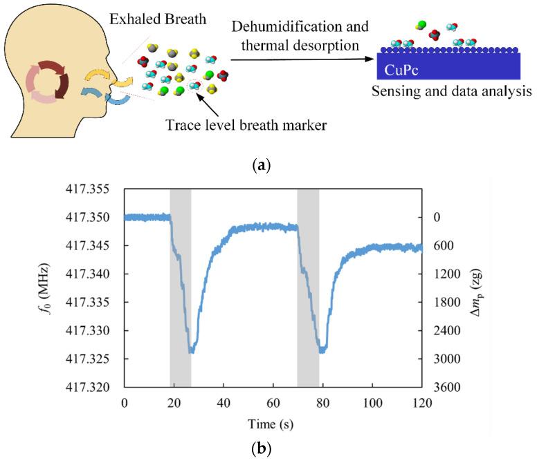 https://cdn.ncbi.nlm.nih.gov/pmc/blobs/cdc9/9788434/36e9df332c66/micromachines-13-02242-g008.jpg