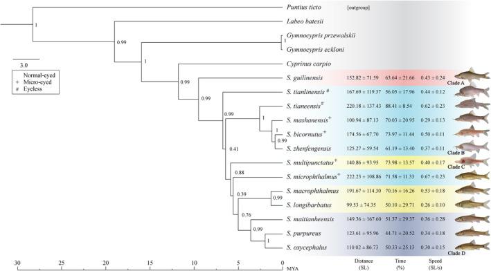 https://cdn.ncbi.nlm.nih.gov/pmc/blobs/cdcb/11199845/7fe28f84b80f/ECE3-14-e11575-g006.jpg