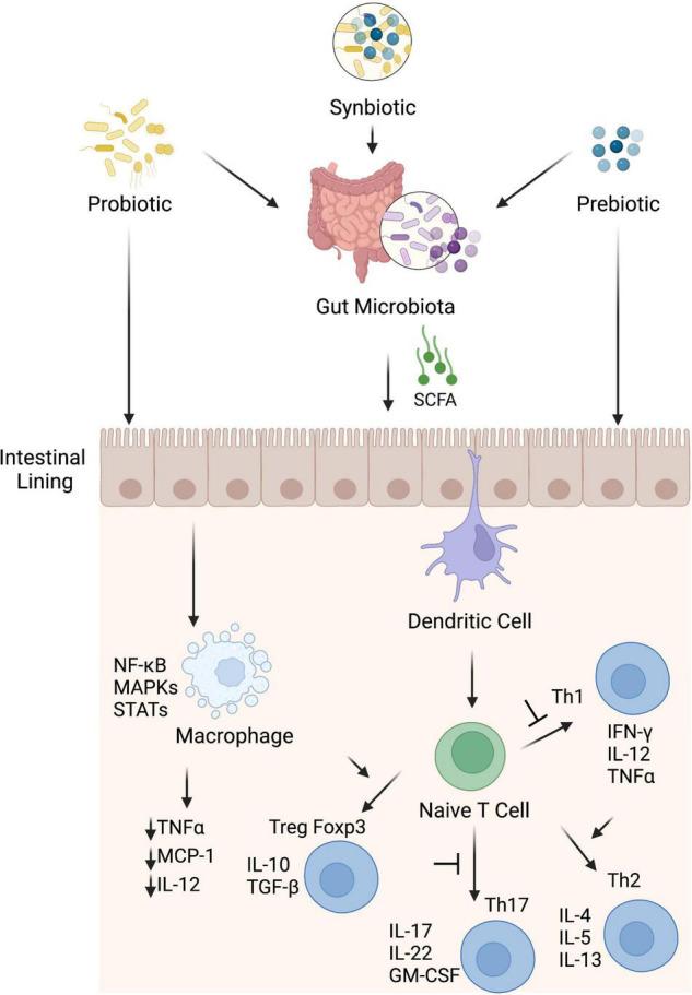 https://cdn.ncbi.nlm.nih.gov/pmc/blobs/cdcb/9354043/2308d744afb5/fnut-09-931458-g003.jpg