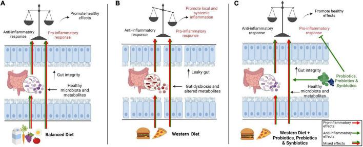 https://cdn.ncbi.nlm.nih.gov/pmc/blobs/cdcb/9354043/63d9a9d6682c/fnut-09-931458-g004.jpg