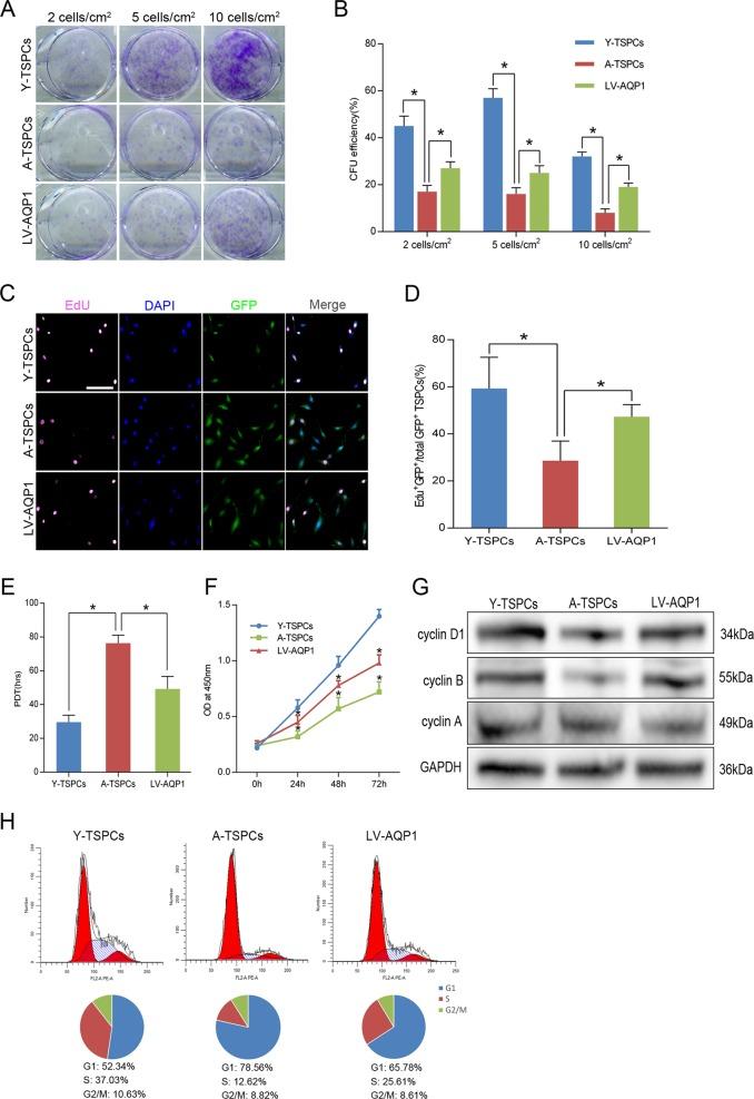 https://cdn.ncbi.nlm.nih.gov/pmc/blobs/cdcc/7080760/612cb829a59c/41419_2020_2386_Fig3_HTML.jpg