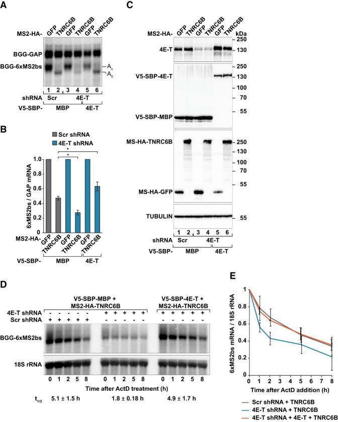 https://cdn.ncbi.nlm.nih.gov/pmc/blobs/cdcc/7263148/ef69ae145182/847f05.jpg