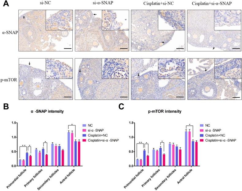 https://cdn.ncbi.nlm.nih.gov/pmc/blobs/cdcd/11237948/24fe4ac449ae/gr7.jpg