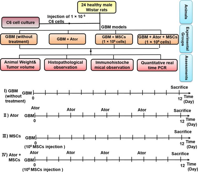https://cdn.ncbi.nlm.nih.gov/pmc/blobs/cdce/7588373/ce4d196ed2df/11033_2020_5855_Fig1_HTML.jpg